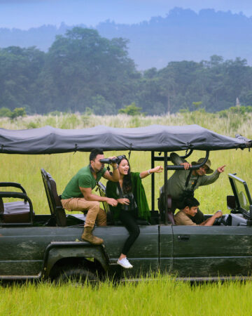 Safari