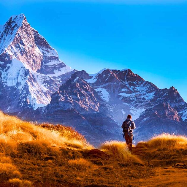 mardi himaL